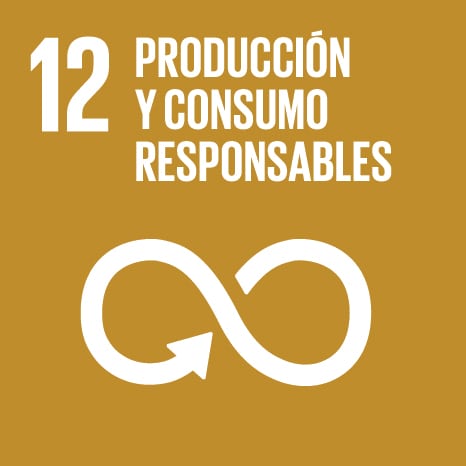 Objetivo 12 - PRODUCCIÓN Y CONSUMOS RESPONSABLES