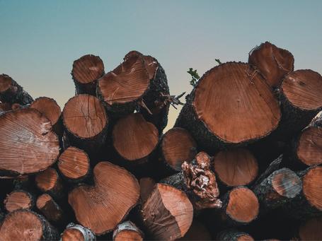 Couchbase Server: mejor rendimiento no siempre significa 'más madera'
