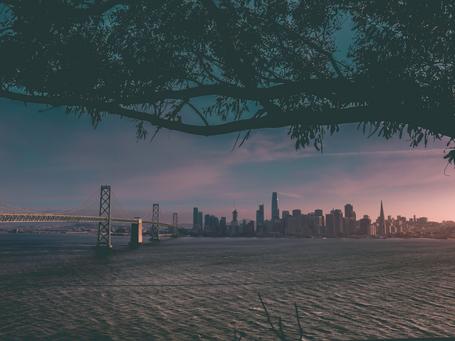 Goodly en el Next '20: últimas novedades y reflexiones finales