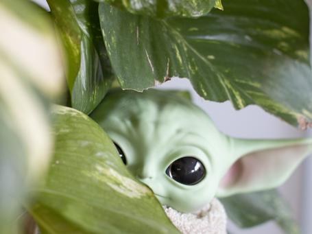 Semana de War Games: descubre el despertar de la fuerza