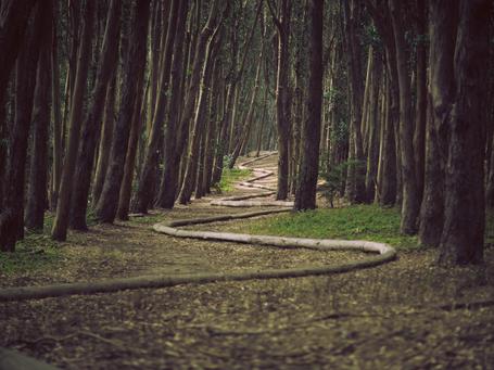 ¿Por qué iterativo e incremental en productos digitales?