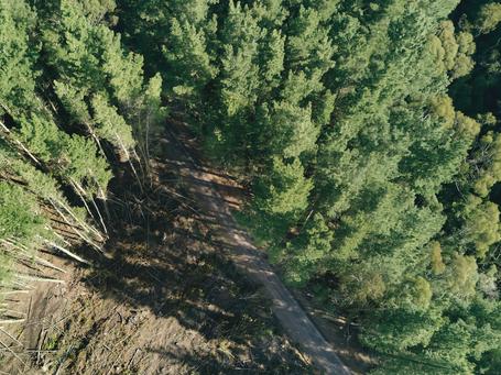 Clima y biodiversidad: ¿cómo construir soluciones innovadoras?