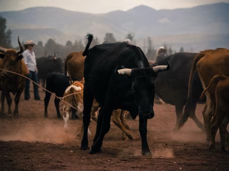 Rancher, un solo cluster para gobernarlos a todos