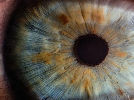 Cassandra, la dama de las bases de datos NoSQL