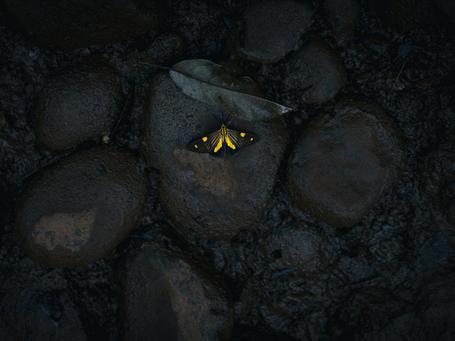 Podcast - ¿Qué método aplicamos en un proyecto de transformación?