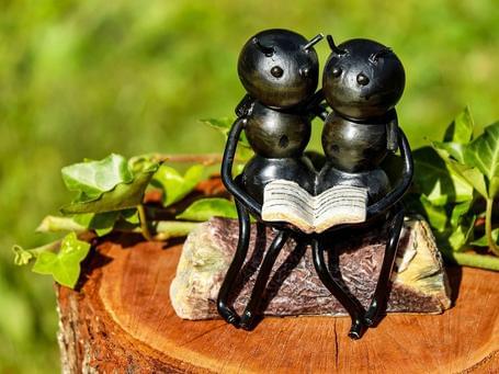 BDD y Gherkin para comunicar mundos diferentes