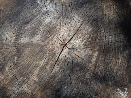 VPC Endpoints centralizados: qué son y cómo conectarse de forma segura