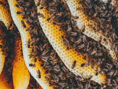 Podcast - Confluent Schema Registry, funcionamiento y esquema de implantación