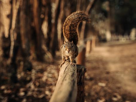 Vuela con tus datos usando Apache Flink