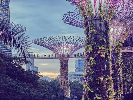 IA generativa, por qué es una aliada y errores que debes evitar