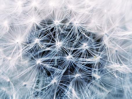 Podcast - Inteligencia Artificial y su impacto en el sector odontológico