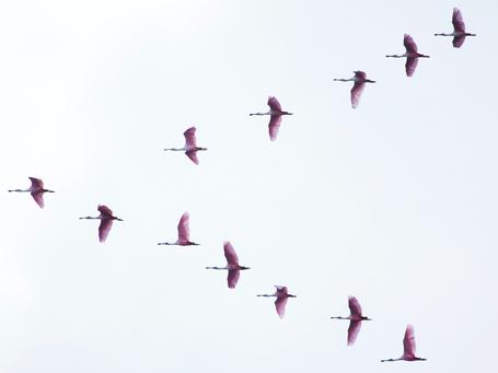 Podcast - Migración de datos a la nube en AWS