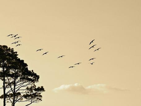 Podcast - Migraciones enterprise a la nube: retos y experiencias con AWS