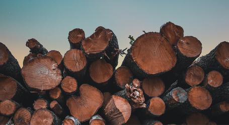 Couchbase Server: mejor rendimiento no siempre significa 