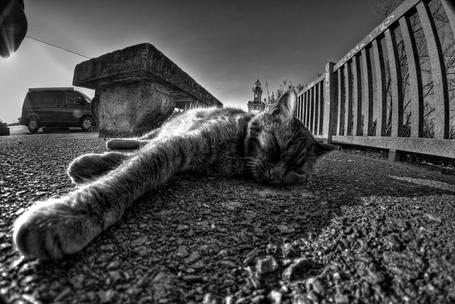 (min-width: 768px) 40vw, 100vw Frontenders, fanboys y fatiga de framework