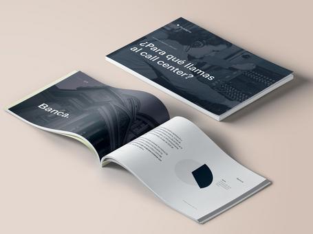 Informe - ¿Para qué llamas al Call Center?