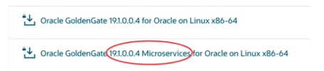undefined Qué es Oracle GoldenGate 1