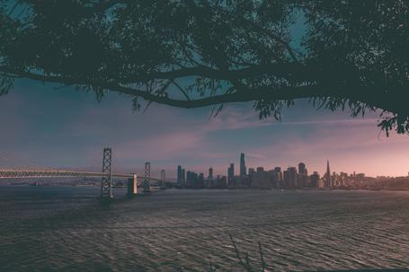 (min-width: 768px) 40vw, 100vw Goodly en el Next