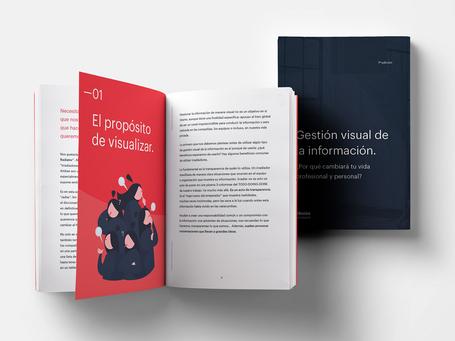 Gestión visual de la información. ¿Por qué cambiará tu vida profesional y personal?