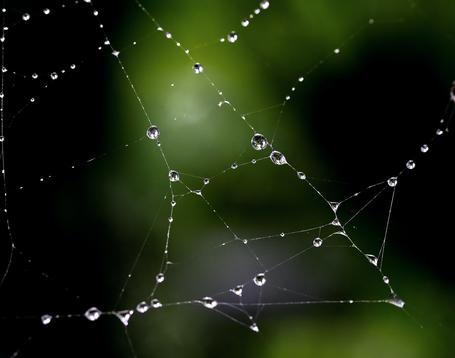 Devops, microservicios, autoescalado y desarrollo de apps: las claves del éxito de Amazon