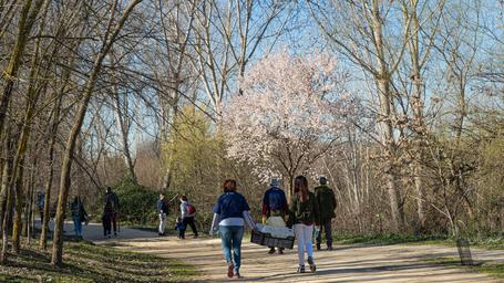 Más de 70 paradigmátic@s y nuestras familias nos unimos a la primera de las iniciativas sostenibles para generar un impacto positivo en el planeta... ¡La primera plantación de árboles paradigmática daba comienzo!