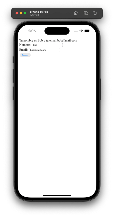 evaluateJavaScript del webview. Método evaluateJavaScript del webview.