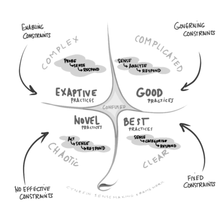 Variabilidad Esquema donde se muestra de forma circular lo complejo, lo complicado, lo claro y lo caótico. En el centro, la confusión