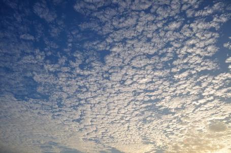 Los cirrostratos son un tipo de nubes altas caracterizadas por estar compuestas de cristales de hielo y frecuentemente por la producción del fenómeno óptico halo.
