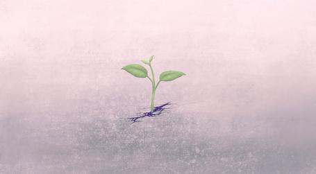 undefined Changes in organizational transformation.