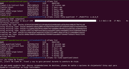 cuantización ollama ejemplo