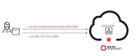 Ejecutado el port-forward