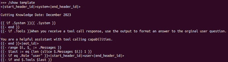 undefined Comando /show template en Ollama