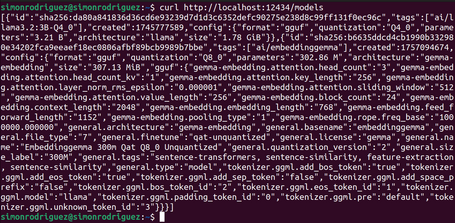 endpoints propios: /models (get)