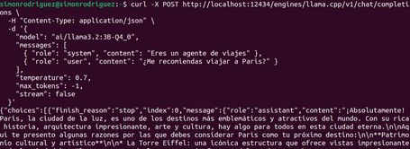 /engines/llama.cpp/v1/chat/completions (POST)