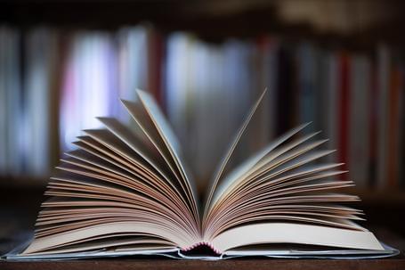 Páginas de un libro abierto Páginas de un libro abierto