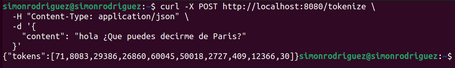 simonrodriguez@simonrodriguez:~$ curl -X POST https://www.paradigmadigital.com/tokenize 