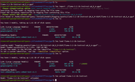 Importando modelos externos en LM Studio