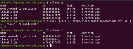 ollama api delete