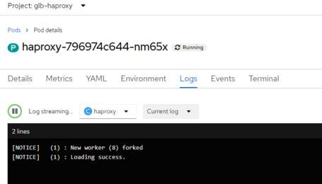 Pod de haproxy corriendo