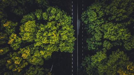 (min-width: 768px) 40vw, 100vw Podcast - Sostenibilidad y Google Cloud