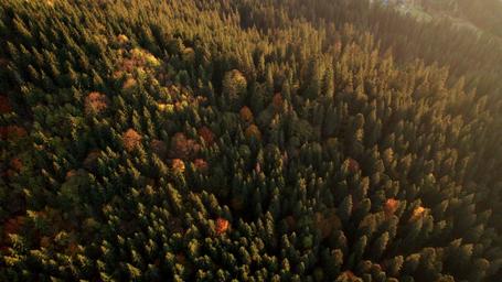 undefined La herramienta digital NetZero, un proyecto realizado conjuntamente por Paradigma y The Overview Effect, ha permitido a Repsol mejorar la eficiencia del cálculo del IIC y ayudar en la toma de decisiones estratégicas.