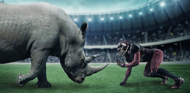 undefined Change of mentality: project vs product